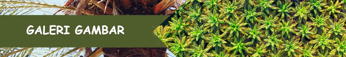 Gallery-Header